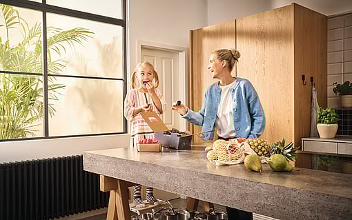 A cardboard box designed for chicory, featuring a vibrant printed design.