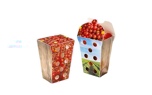 Taze çeri domatesler için sert karton ambalaj.