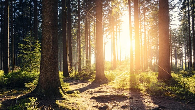 Ambalaj ve Ambalaj Atıkları Yönetmeliği