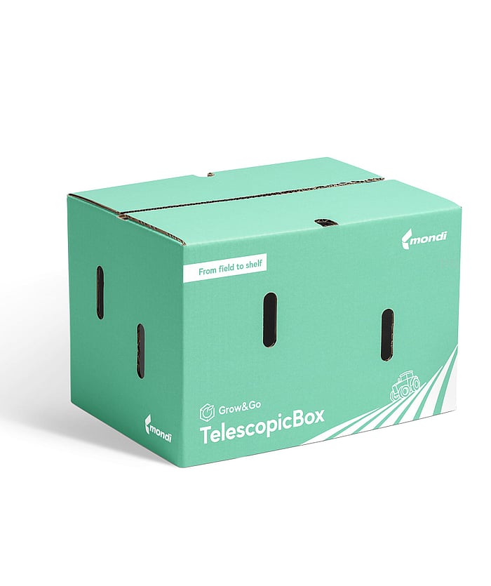 A TelescopicBox that expands with demand.