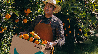 Portakal ağaçlarıyla çevrili, içi portakal dolu kahverengi oluklu bir kutu taşıyan bir adam